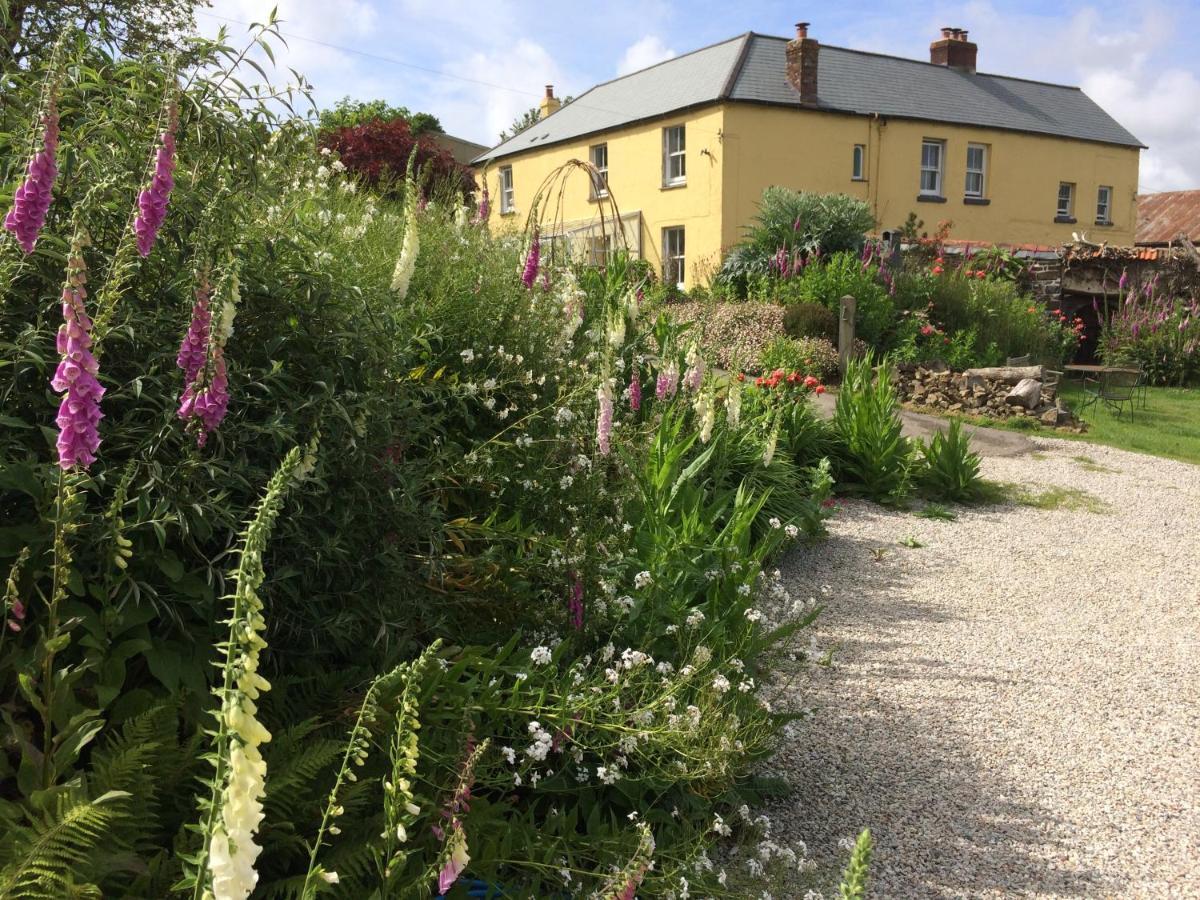 Frizenham Farmhouse Little Torrington エクステリア 写真