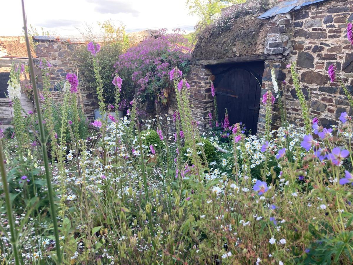 Frizenham Farmhouse Little Torrington エクステリア 写真