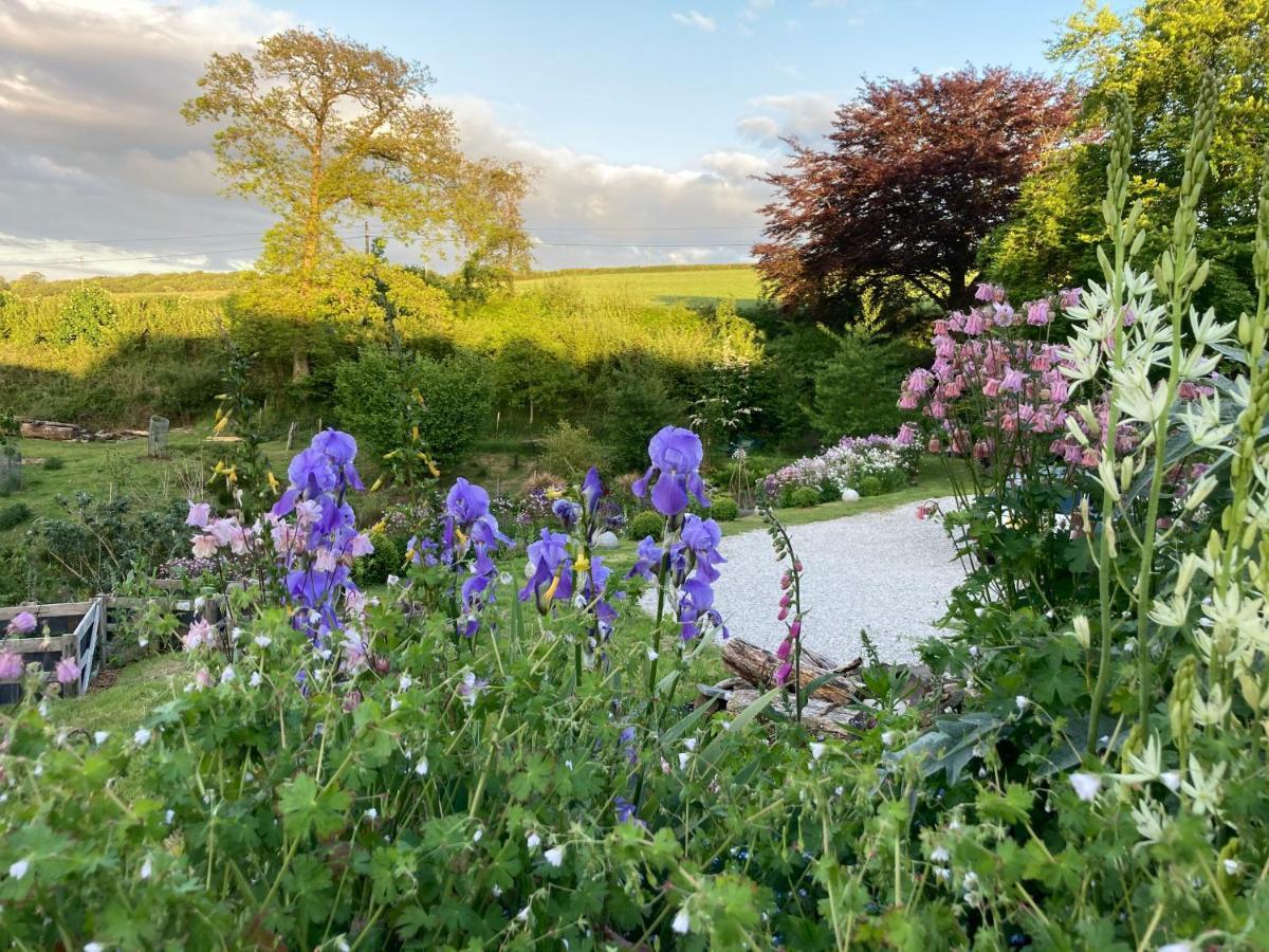 Frizenham Farmhouse Little Torrington エクステリア 写真