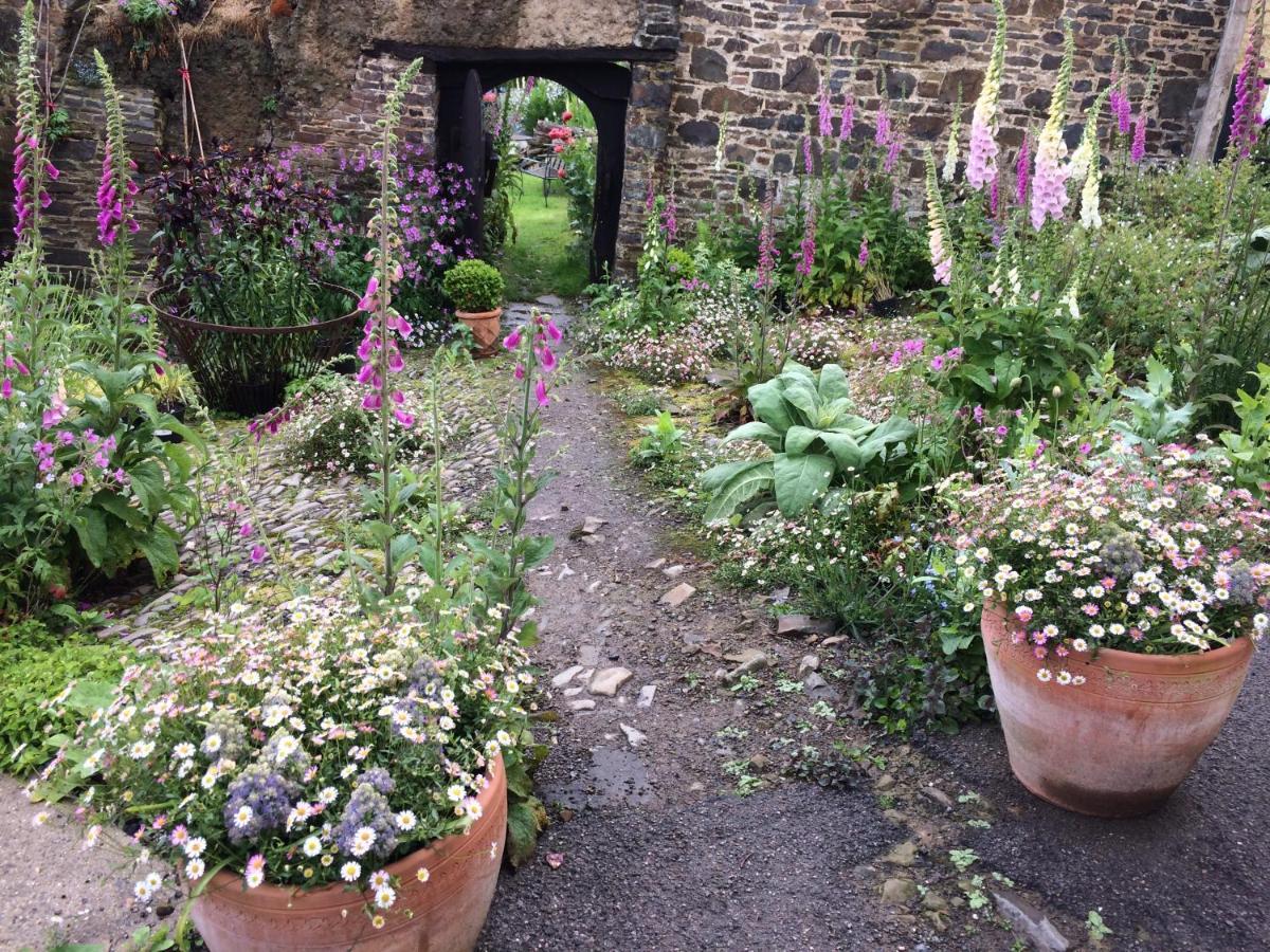Frizenham Farmhouse Little Torrington エクステリア 写真